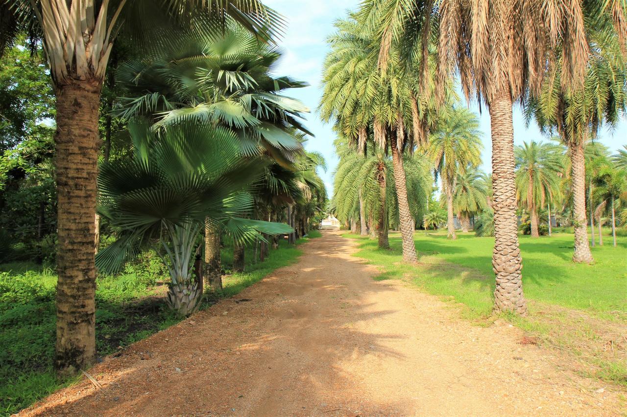 Lopburi Palm Resort Экстерьер фото